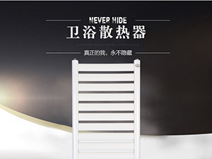 衛(wèi)浴散熱器